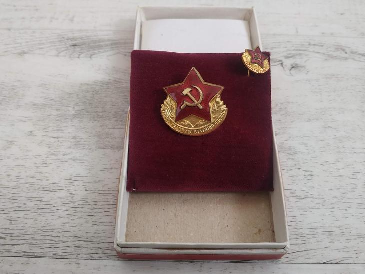 Odznak Vyznamenání Řád Znak Erb Miniatura Hvězda Vzorný pracovník - Sběratelská faleristika