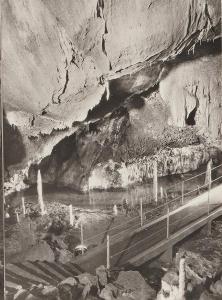 Hartmanické jeskyně