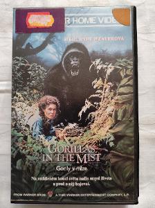 VHS Gorily v mlze