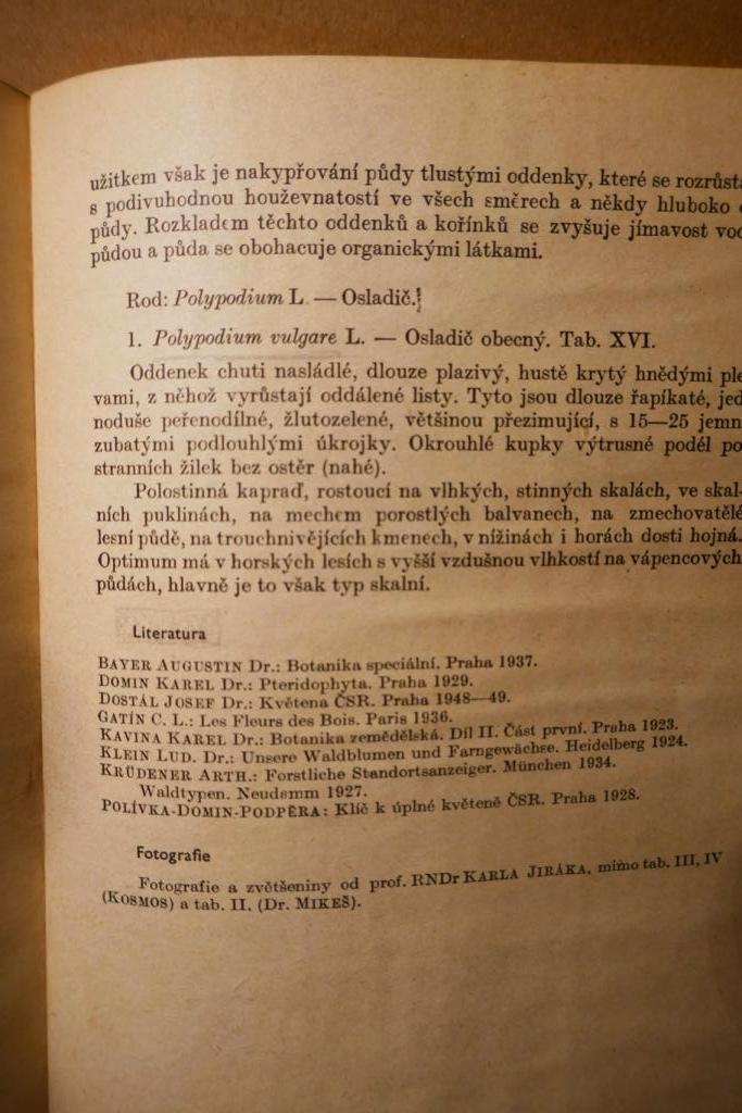 STANOVIŠTNÍ KAPRAĎOROSTY, K.Balabán !!! vyšlo 1950 - Odborné knihy