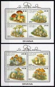 Ghana-Houby 1990**  Mi.Bl.164-165 / 22 €