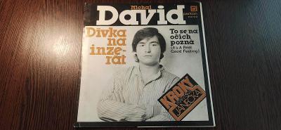Michal David - To Se Na Očích pozná / Dívka na inzerát - SP vinyl 1982