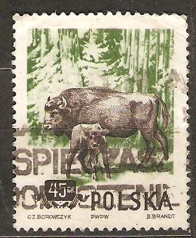 Polsko 1954 Mi 885