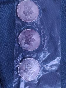 Stribrna mince 1oz Maple leaf 2021, investice 