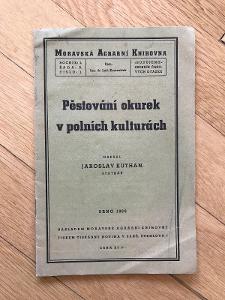 Pěstování okurek v polních kulturách – Jaroslav Kuthan (1939, Brno)