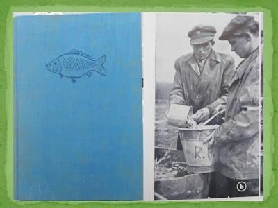 DYK, PODUBSKÝ, ŠTĚDRONSKÝ: Základy našeho rybářství - 1956