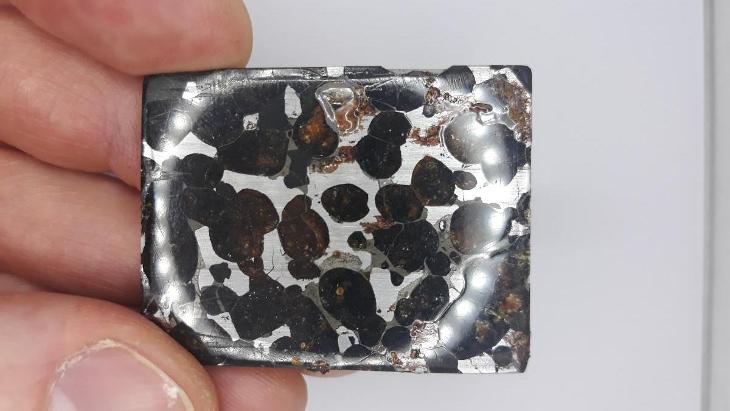 Meteorit pallasit sericho Keňa 2Ks.