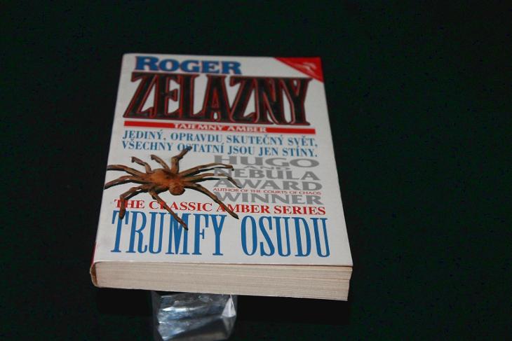 Trumfy osudu -  Roger Zelazny  (a1) - Knižní sci-fi / fantasy