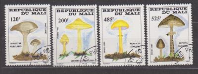 Mali - houby