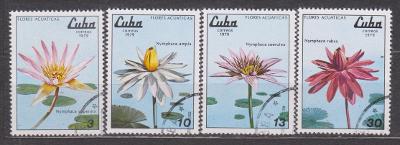 Kuba  květy