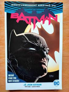 Znovuzrození hrdinů DC Batman: Já jsem Gotham