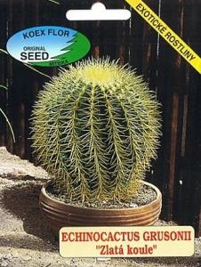 Echinocactus Grusonii, Zlatá koule, kaktus (semena)