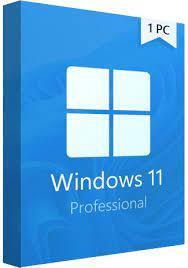 Microsoft Windows 11 Professional 32/64 bit