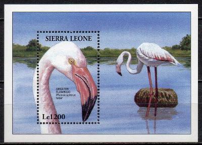 Sierra Leone-Plameňák americký 1994** Mi.Bl.250 / 7,50 €