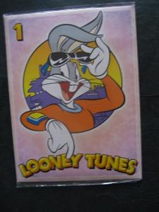 Souprava dopisních papírů Looney Tunes ve fólii 12 papírů,6 obálek
