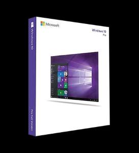 Windows 10 Professional (32/64 bit)