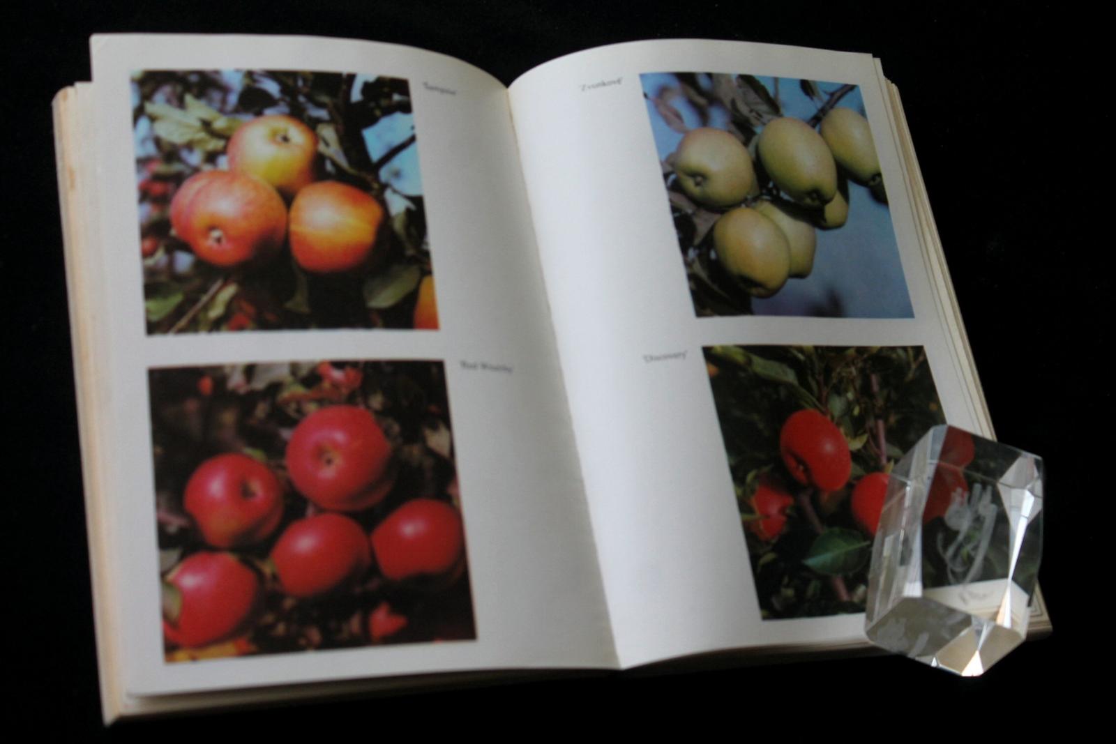Pěstování jabloní -  Antonín Dvořák (l9) - Knihy
