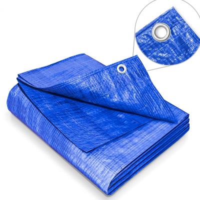 Zakrývací plachta 10 x 12 m - 60 g modrá (29202)