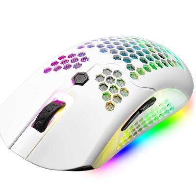 Bezdrátová Herní RGB Myš - Dobíjecí - ZIYOU LANG X2 
