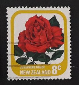 flóra New Zealand 11