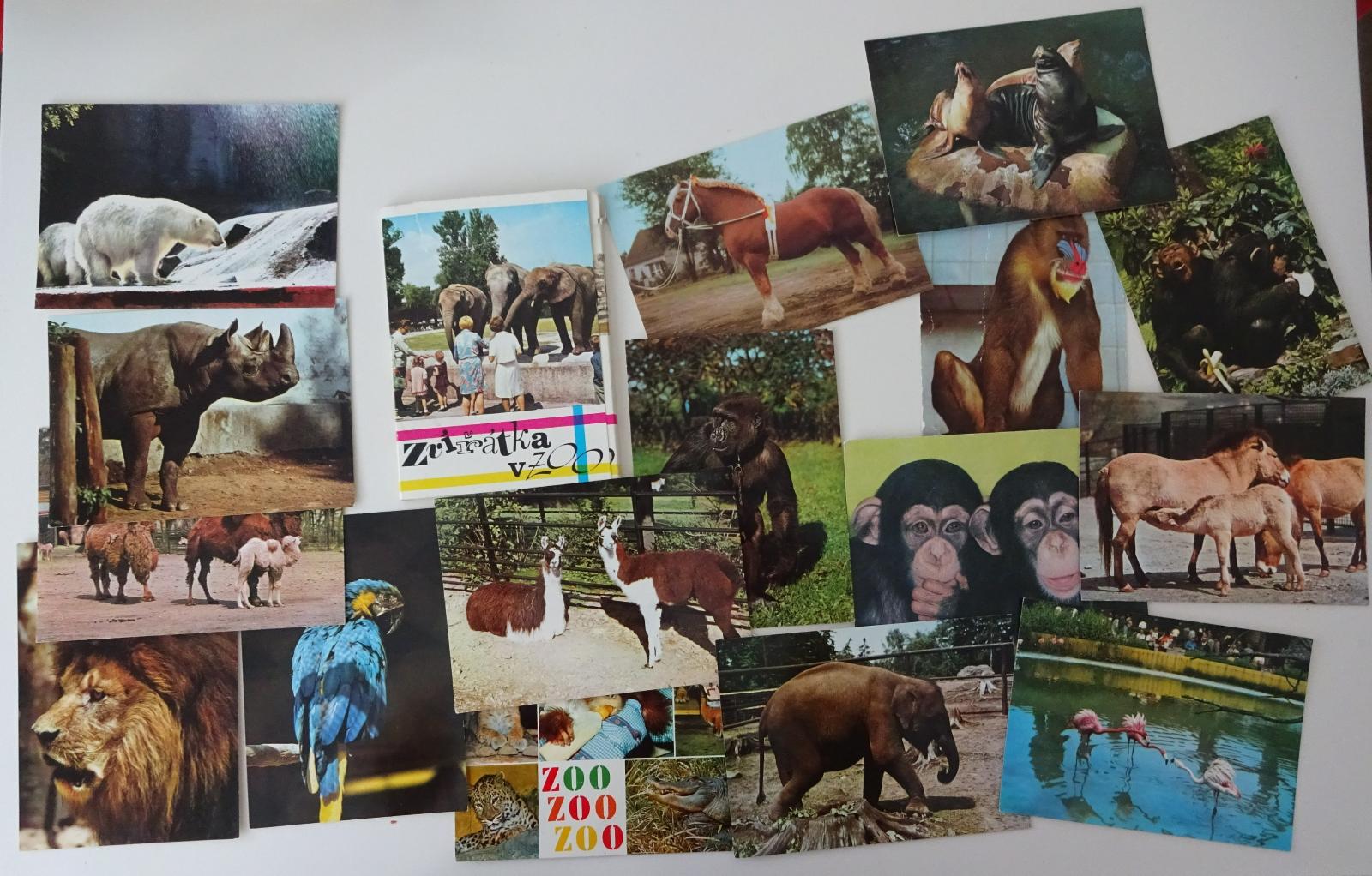 Zvířátka v ZOO - sada pohlednic - Pohľadnice