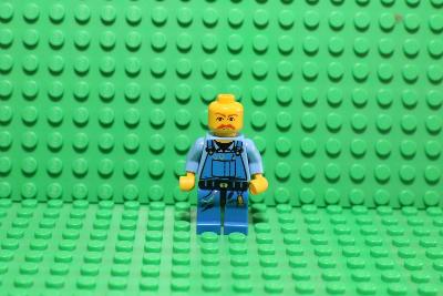 LEGO figurka: Různé 13