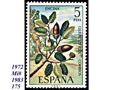 Španělsko 1972, dub cesmínový