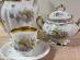 Stará krásná čajová sada - cca 100 let stará - Pomněnky - M.Z. Austria - Starožitnosti a umění