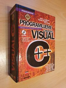Kniha Programujeme v Microsoft Visual C++