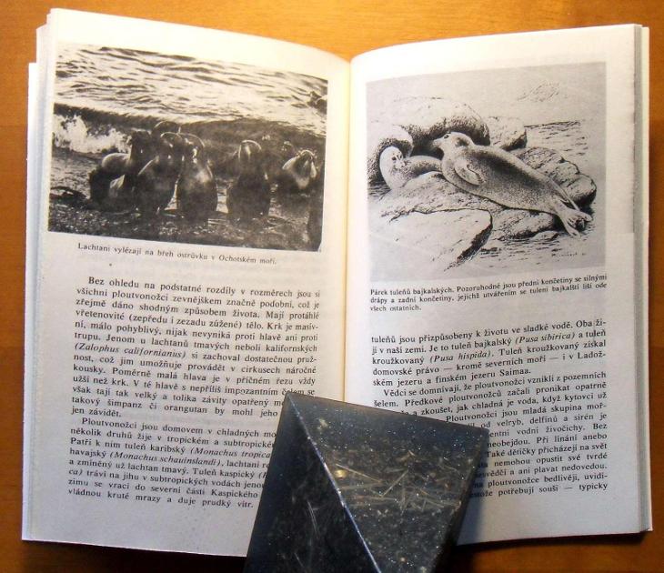 Delfíni nebo radary - Sergejev, Boris - Knihy