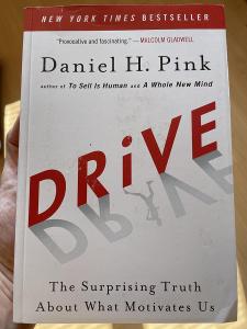 Daniel H. Pink: DRIVE / POHON (bestseller v oblasti seberozvoje)
