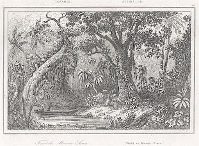 Munin Sima Australie, Rienzi, oceloryt,1836