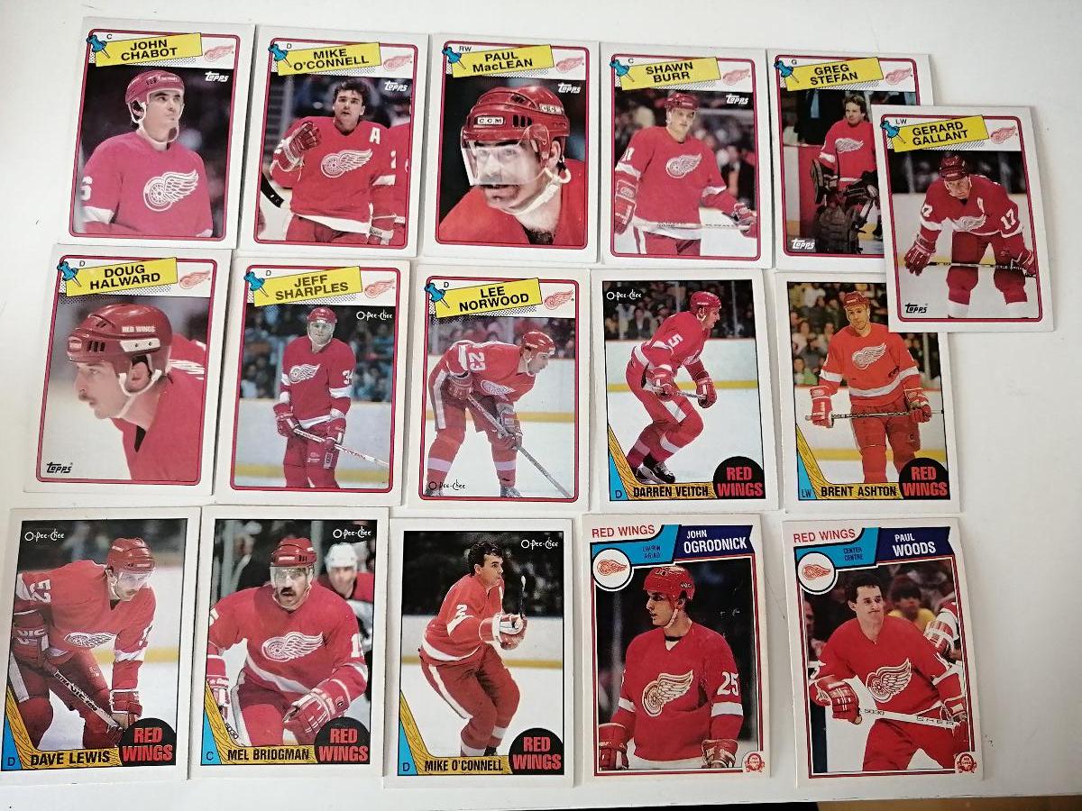Retro karty NHL-Tím Detroit Red Wings - Hokejové karty