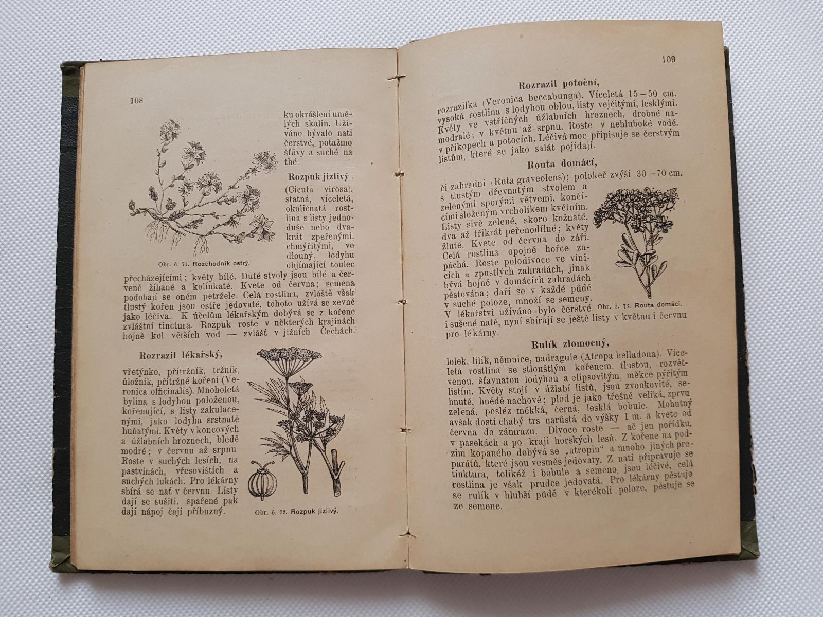 Bylinářství kořenářství čili herbář 1898 Fulín sběr pěstování úprava - Odborné knihy