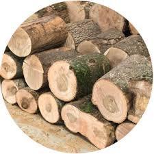 dřevěný špalek, špalky čerstvé velké dle vašeho výběru průměry i 60cm 