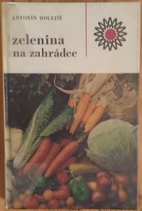 Zelenina na zahrádce Antonín Dolejší