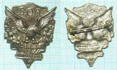 Odznak - Sokol - USA