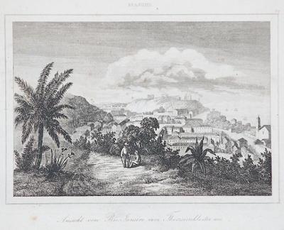 Rio Janeiro Santa Tereza, Le Bas, oceloryt 1840