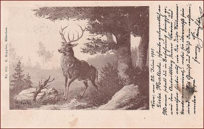 Lovecký motiv * jelen, zvířata, krajina, lesní motiv * M1917