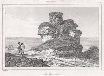 Australie Nid Gigantesque,  Rienzi, oceloryt,1836