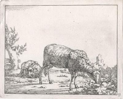 Potter- Bye : Ovce VII., mědiryt 1664
