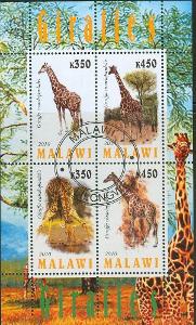 Afrika, Republika Malawi, 2010, žirafy, razítko, TL,