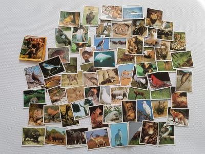 Starší samolepky zvířata Panini Animals of the World cca 1989