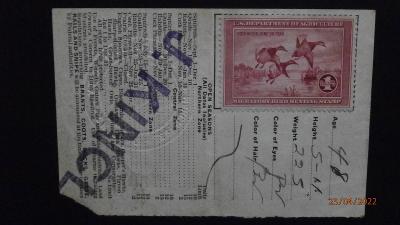 ZNÁMKY - USA - HUNTING PERMIT STAMPS - KACHNÍ ZNÁMKA. 1935. 160 $. 