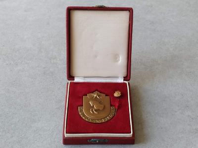 Odznak Medaile Vyznamenání voják Plaketa Pardubice Za budování koník
