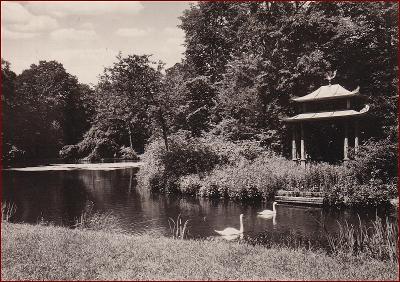 Kroměříž * Divoký rybník, zámecká zahrada, labutě * V1103