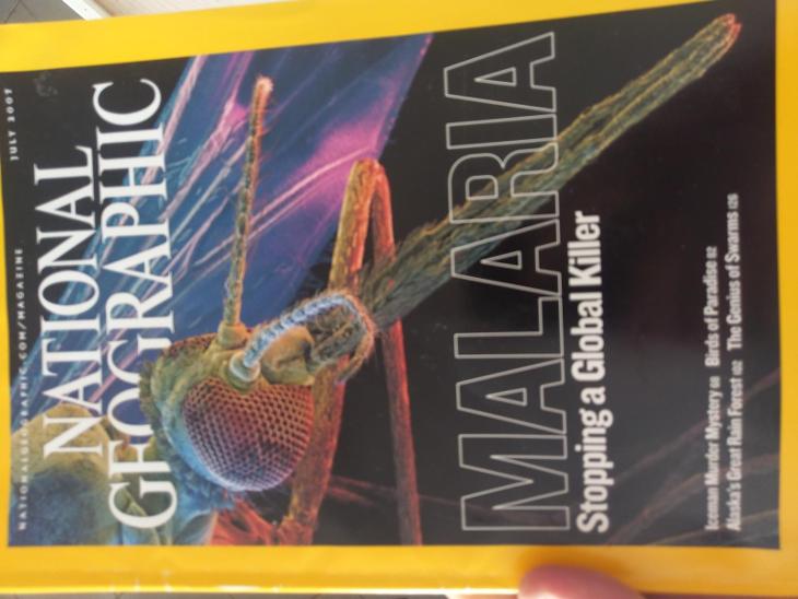 National Geographic v anglictine ročník 2003-2008, 88ks - Knihy a časopisy