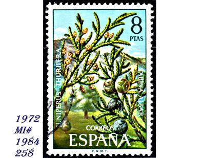 Španělsko 1972, španělský jalovec