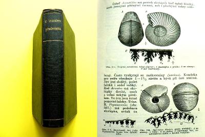 O tvorstvu předvěkém 🦖 Nauka o zkamenělinách (palaeontologie) 1900 🦞