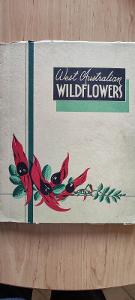 kniha  - West Australian wild flower - ilustrace kresba
